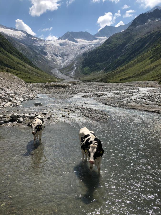 Landhaus Zillertal Ramsau im Zillertal Esterno foto