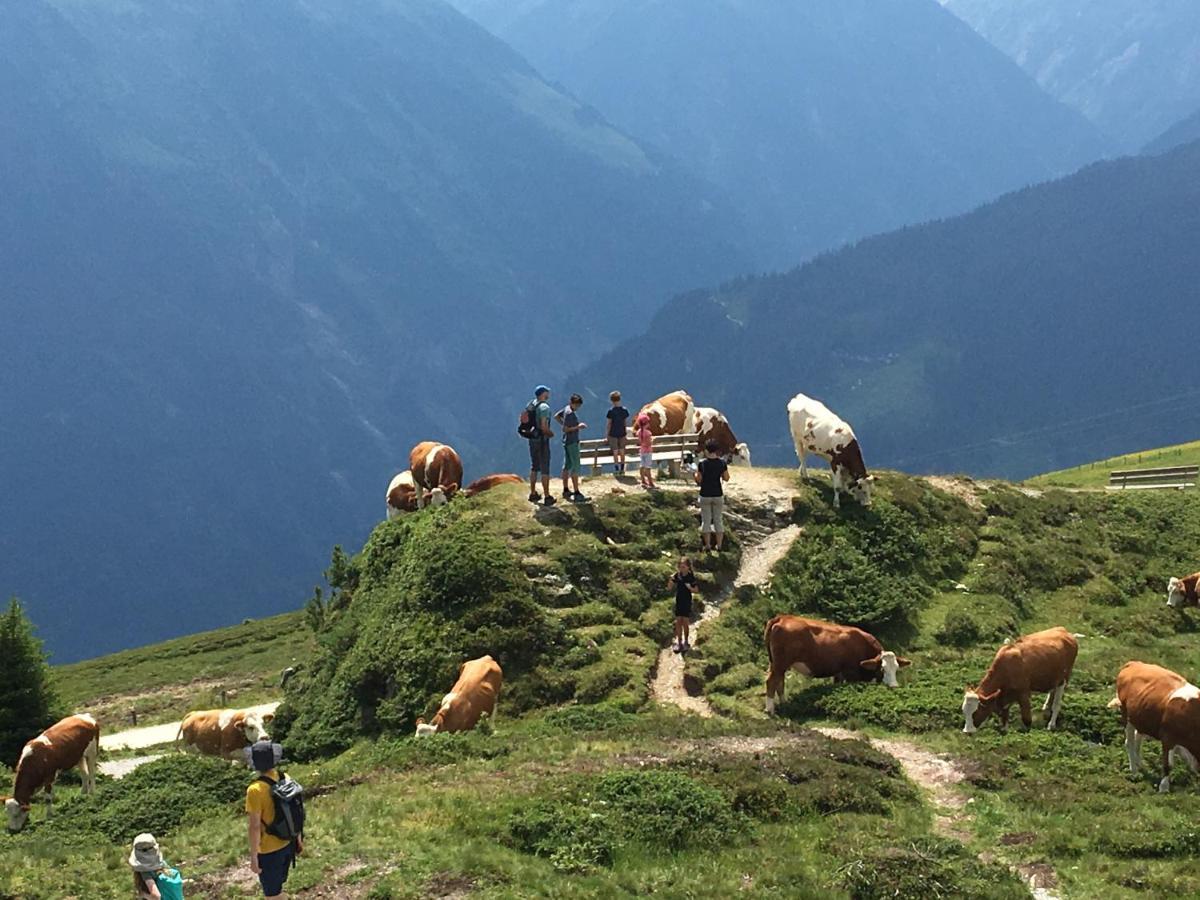 Landhaus Zillertal Ramsau im Zillertal Esterno foto
