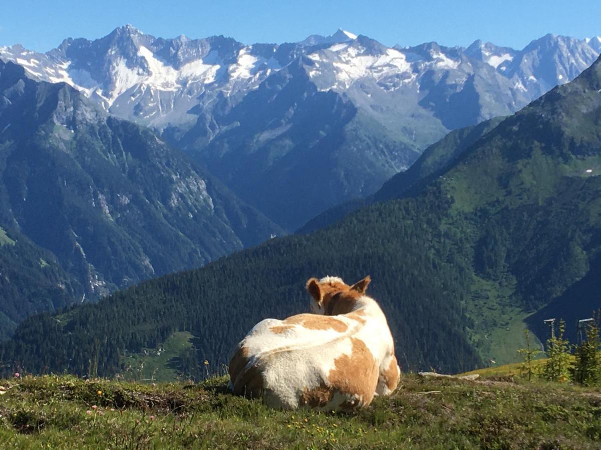 Landhaus Zillertal Ramsau im Zillertal Esterno foto